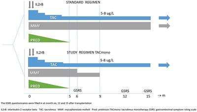 The Burden of Gastrointestinal Complaints in Kidney Transplant Recipients Using Tacrolimus With and Without Mycophenolate Mofetil: A Randomized Controlled Study